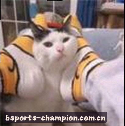 吴磊